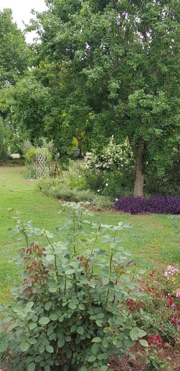 Piccadilly Farm Cottages Lions River Buitenkant foto